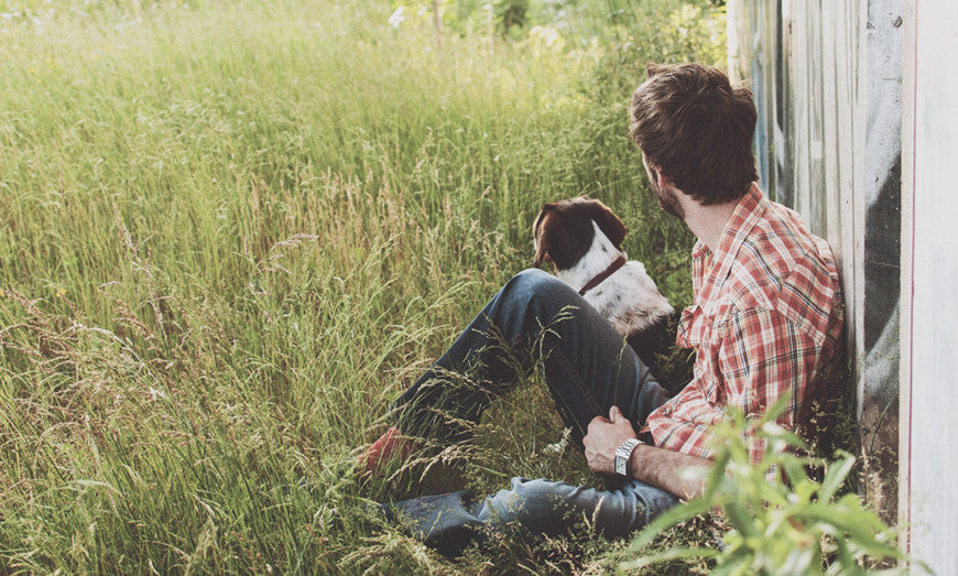 Integer scelerisque diam vitae aliquam fringilla