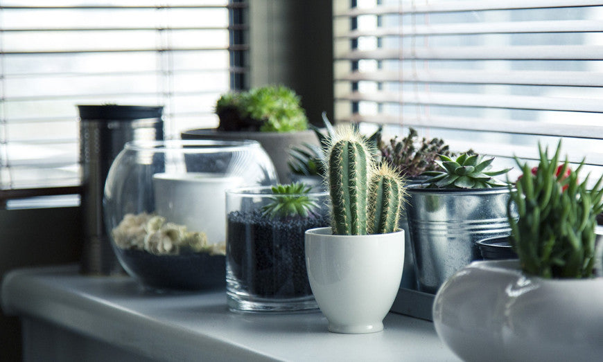 Integer scelerisque diam vitae aliquam fringilla 2