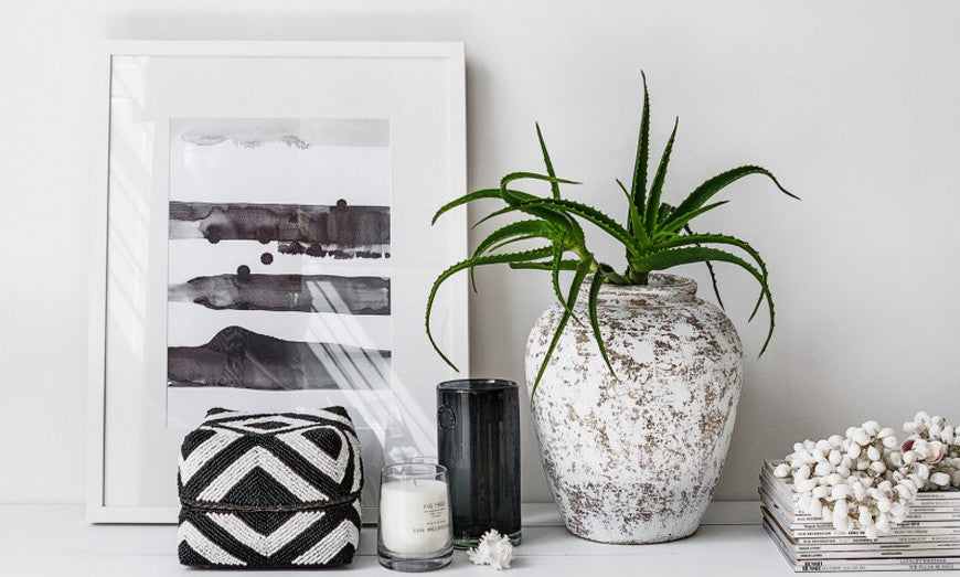 Integer scelerisque diam vitae aliquam fringilla 6